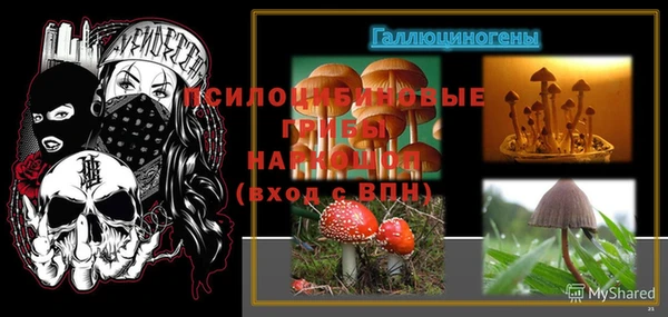 MESCALINE Алзамай