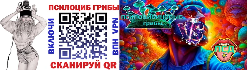 Купить закладки  Маркс  Галлюциногенные грибы мицелий 